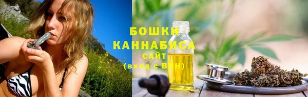 скорость Бородино