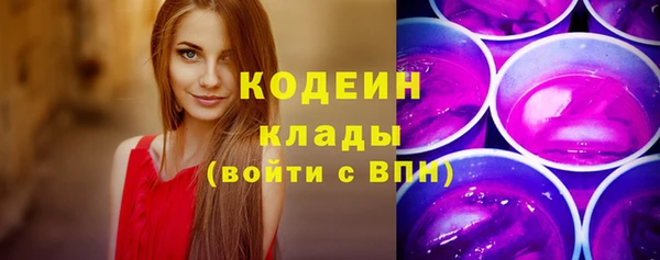скорость Бородино