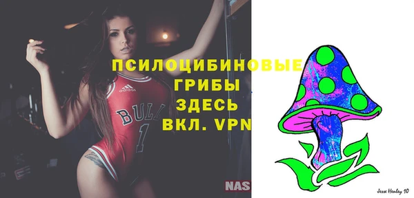 скорость Бородино