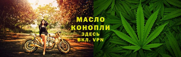скорость Бородино